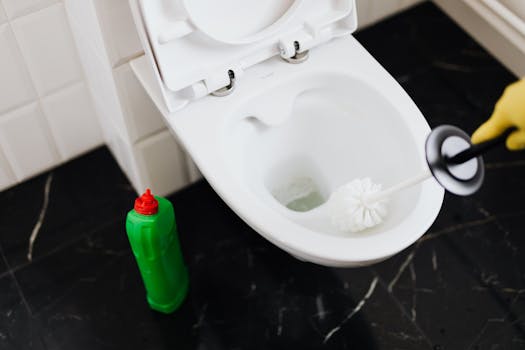 toilet maintenance checklist